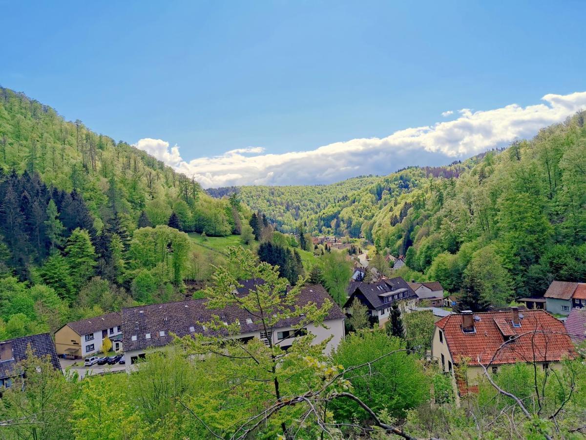 Vor Lauter Baeumen B&B Zorge Bagian luar foto