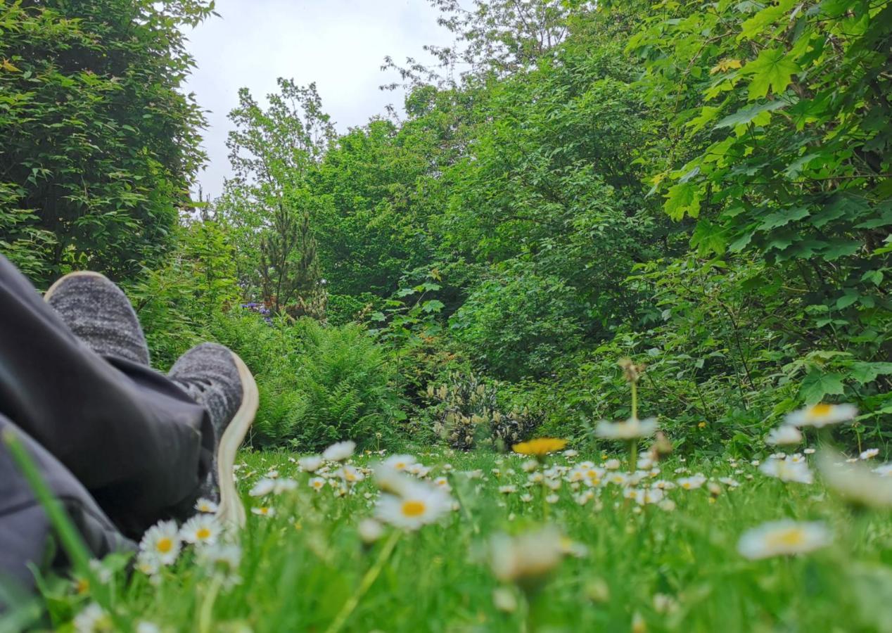 Vor Lauter Baeumen B&B Zorge Bagian luar foto