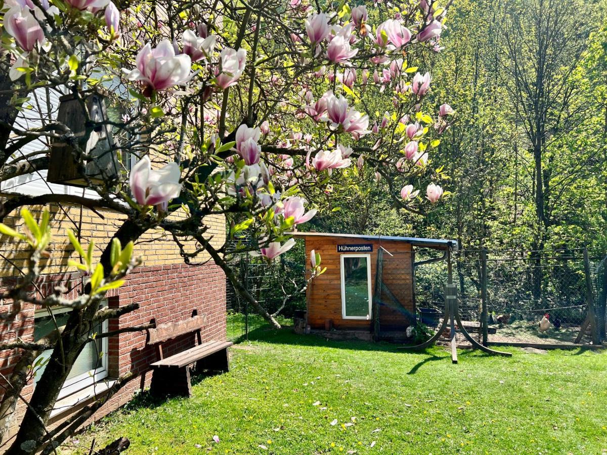 Vor Lauter Baeumen B&B Zorge Bagian luar foto