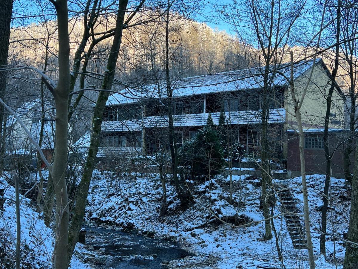 Vor Lauter Baeumen B&B Zorge Bagian luar foto