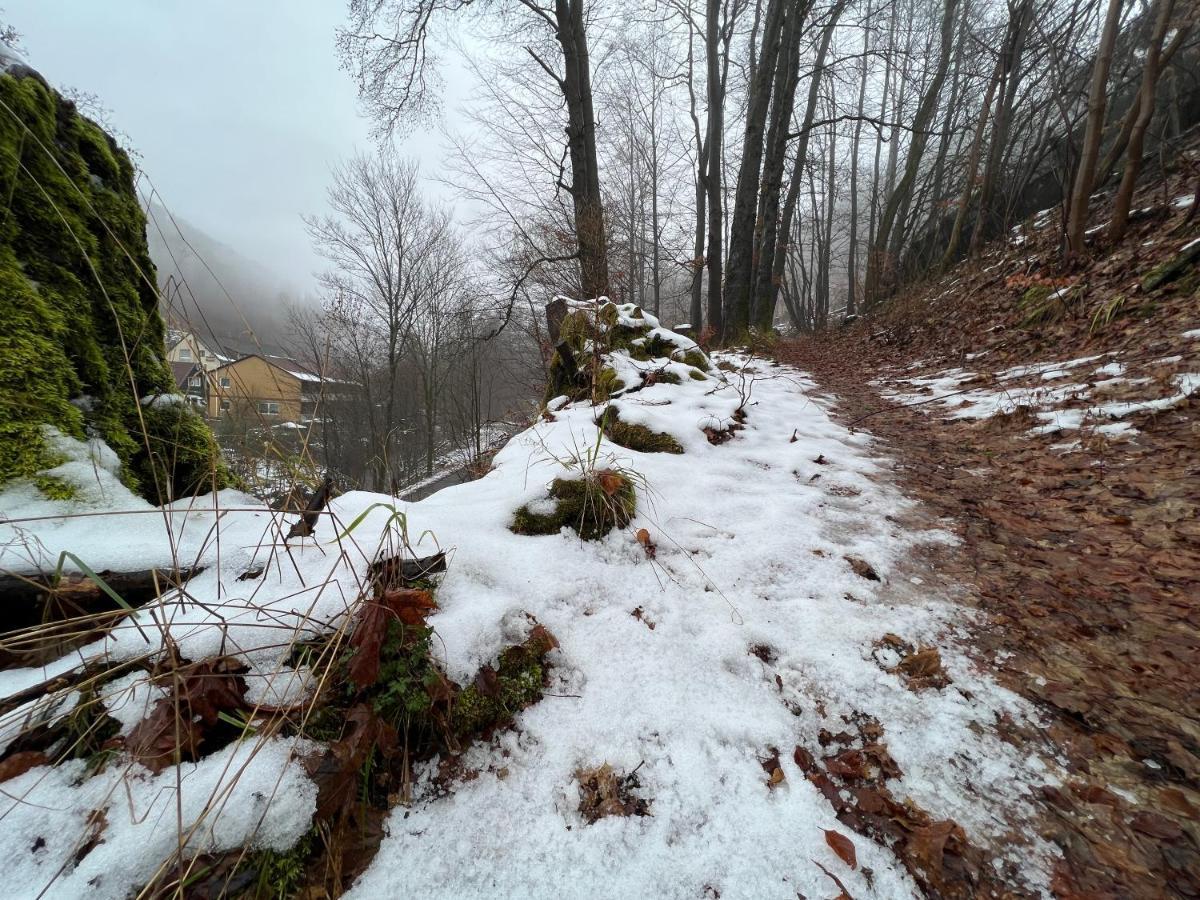 Vor Lauter Baeumen B&B Zorge Bagian luar foto