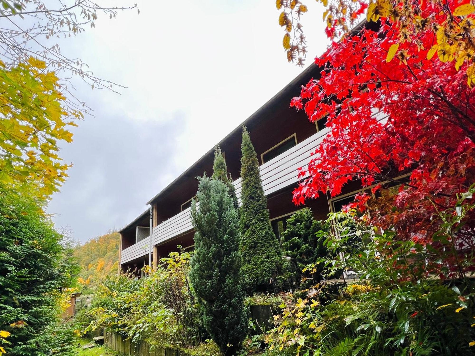 Vor Lauter Baeumen B&B Zorge Bagian luar foto
