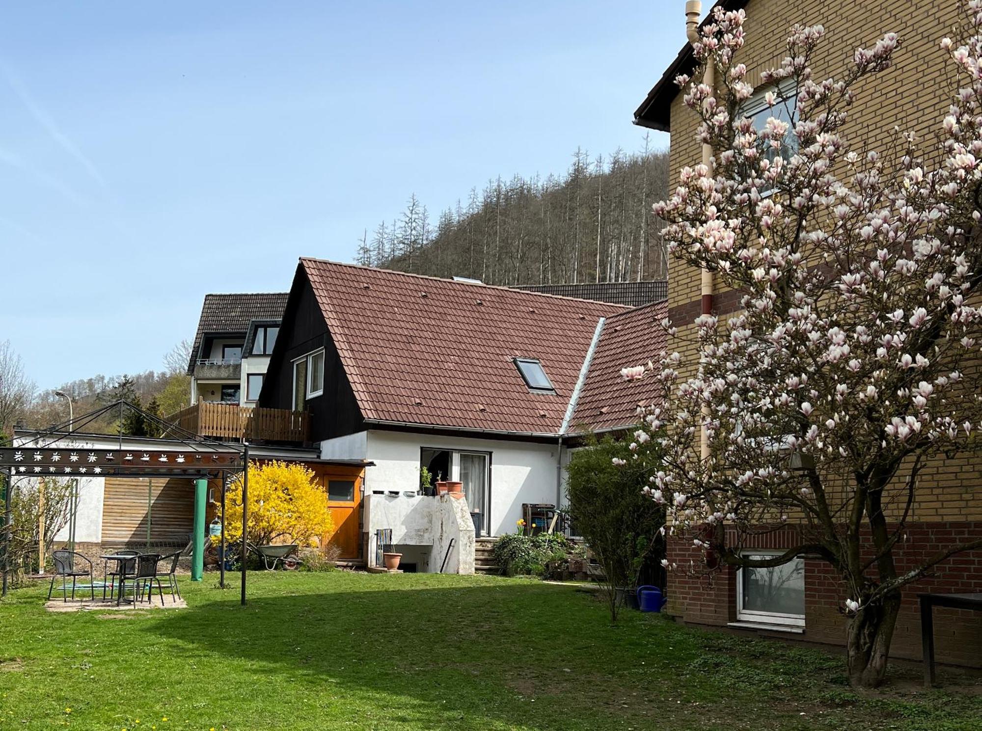 Vor Lauter Baeumen B&B Zorge Bagian luar foto