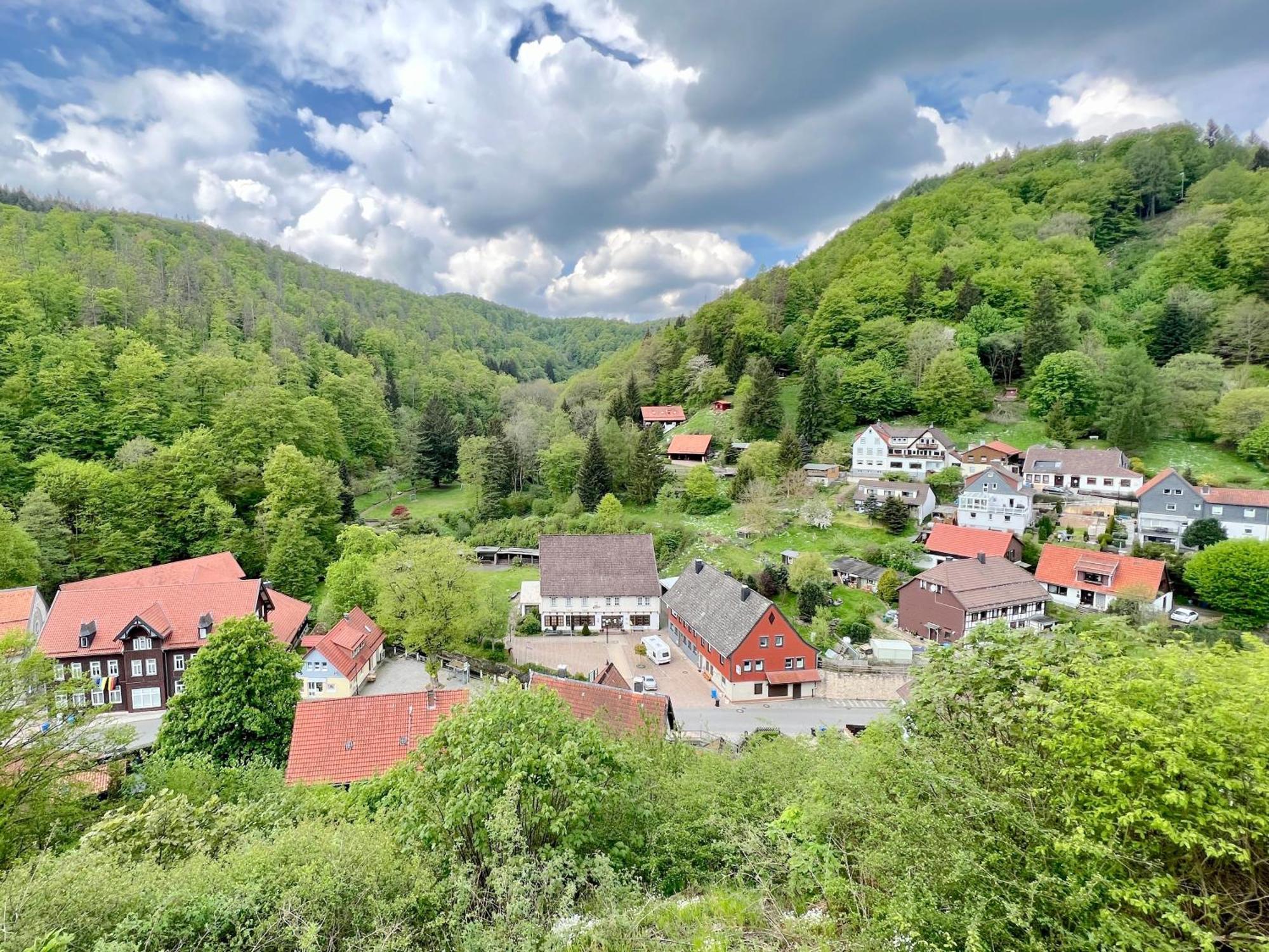 Vor Lauter Baeumen B&B Zorge Bagian luar foto