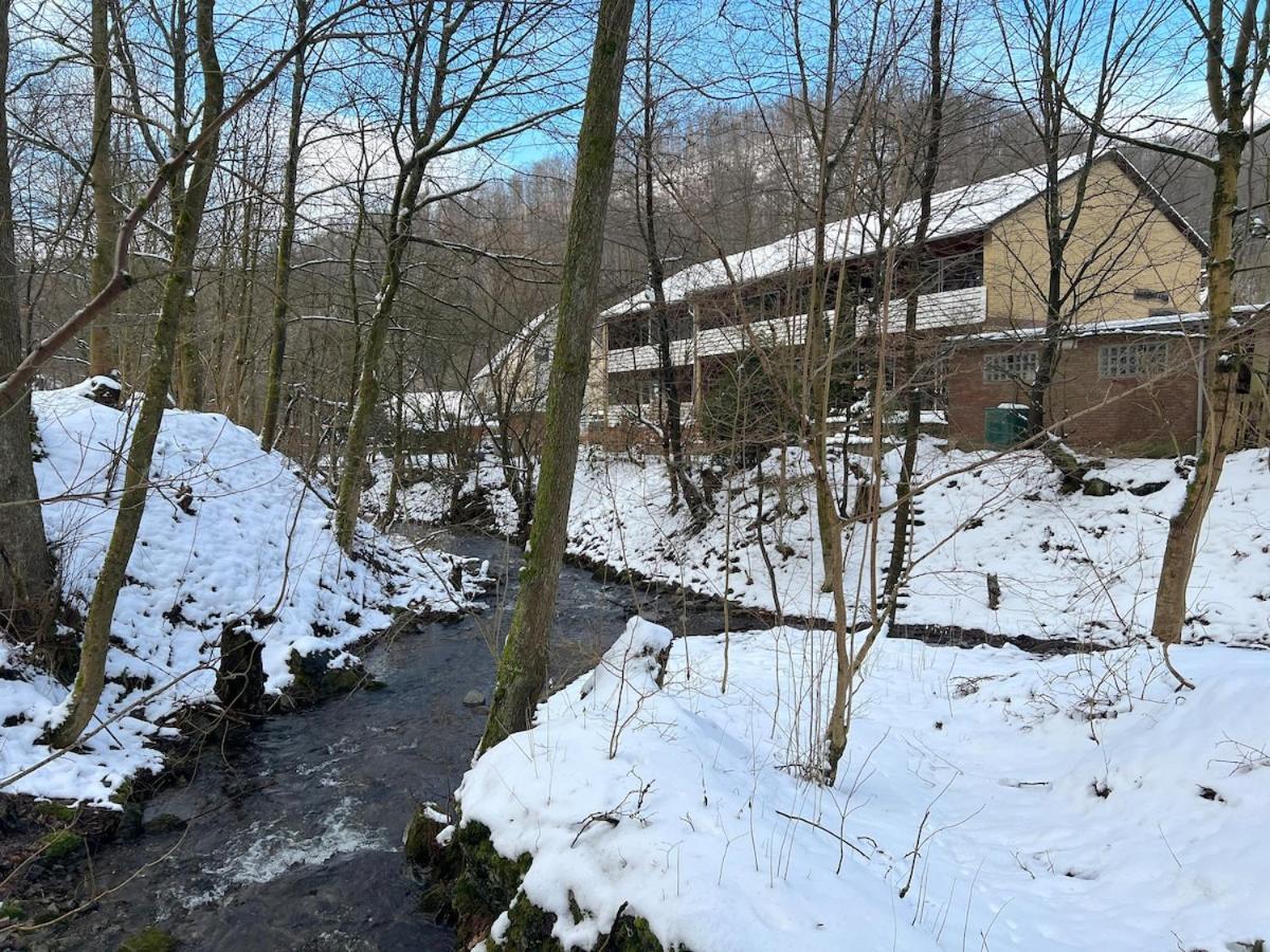 Vor Lauter Baeumen B&B Zorge Bagian luar foto